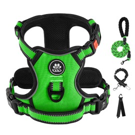 IVY&LANE No Pull Dog Harness for Medium Dogs, Dog Vest Harness with Leash, Safety Belt and Storage Strap, Fully Adjustable Harness, 360° Reflective Strip, Soft Handle (Green,M)