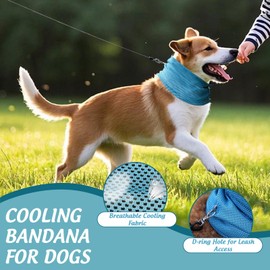NiCola Dog Cooling Bandana, Blue Cooling Bandana for Dogs, Dog Collar for Dogs, Puppy, Cats Summer (Blue, S)