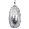 Nautilus Shell 925 Sterling Silver Pendant, 2 1/4"