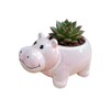 Cuteforyou Succulent Pots,Cute Animal Shaped Cartoon Ceramic Succulent Cactus Flower