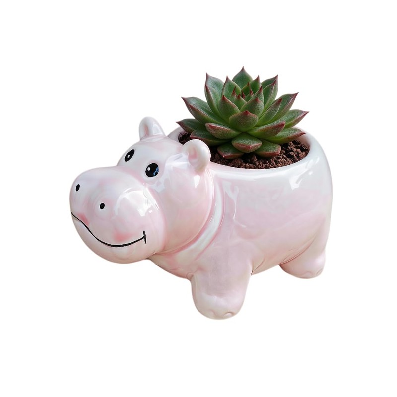 Cuteforyou Succulent Pots,Cute Animal Shaped Cartoon Ceramic Succulent Cactus Flower