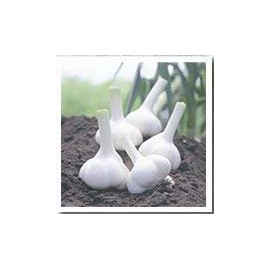 にんにく玉本舗 国内産にんにく使用 にんにく玉ゴールド 1袋60粒入×2袋セット 無添加 にんにく 卵黄