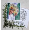 Catholic Christmas Cards with Prayer to Saint Lucy, Santa Lucia,