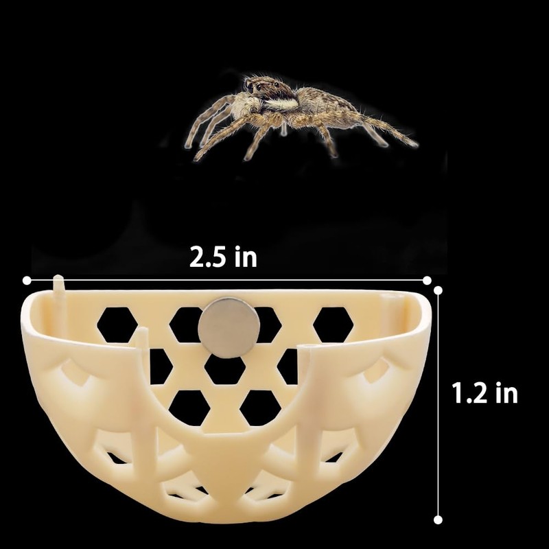 DQITJ Jumping Spider Hidden House Tarantula Enclosure Accessories with Magnet