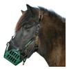 greenguard Halter 66 Standard Wb Suitable for Pasture Muzzle