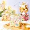 DIFEIUKI Transparent Gift Box, Set of 50, PVC Plastic Case,