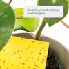 Plantura Pack of 40 Yellow Plates - Fungus Gnats &