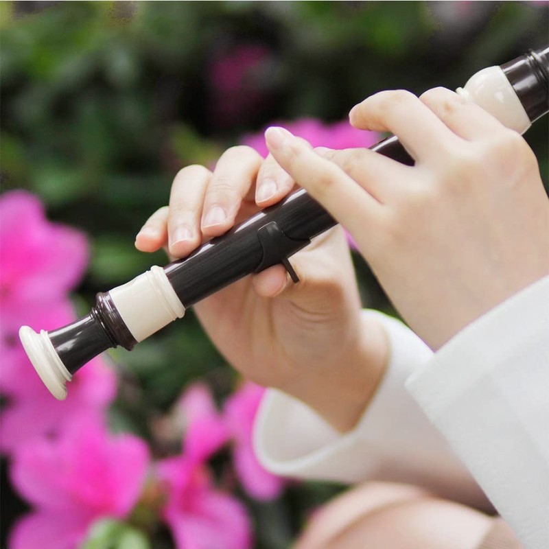Heysland Descant Recorder Professional Detachable ABS Soprano 8 Hole Baroque