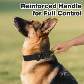 Joytale Heavy Duty Dog Collar with Handle, Adjustable Tactical Military Nylon Collar with Quick Release Metal Buckle for Medium Dogs Walking Training, Soft Lining, Dual Rings, AirTag Case, M, Black