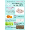ブレスマイル（BRESMILE）サプリメント 33.0g×2袋 さくらんぼ味 シャンピニオン キシリトール サプリ タブレット