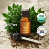 Oleum Vitae Aceite Esencial 100% Puro De Orégano 30ml