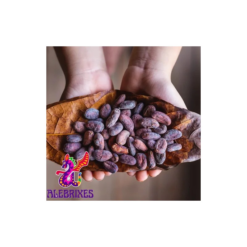 Alebrixes Granos De Cacao Crudo Mexicano 114 G
