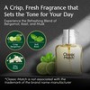 PB ParfumsBelcam Classic Match Green Eau De Toilette Spray for