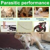 Natural Prevention for Dogs-150 Soft Chews,for All Breeds & Ages