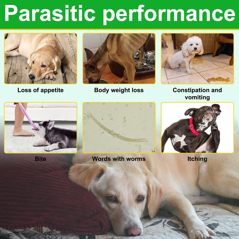 Natural Prevention for Dogs-150 Soft Chews,for All Breeds & Ages
