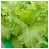 Everwilde Farms - 1 Oz Grand Rapids Lettuce Seeds -