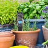 For TTGO T Higrow ESP32 WiFi Bluetooth DHT12 Soil Temperature