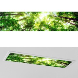 Wowangce 1 x 4 Feet Fluorescent Light Covers for Ceiling Lights Magnetic Ceiling Light Cover with 8 Magnets Fluorescent Light Filters for School Classroom Home Office (Forest Style, Green)