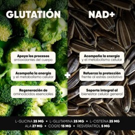 Glutatión 500 mg  NAD 200 mg con NAC, ALA, CoQ10 y Resveratrol  Suplemento Antioxidante en Cápsulas Veganas para Rutina Diaria y Bienestar Integral...