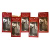 Divine Mercy Novena and Chaplet (5 Pack)