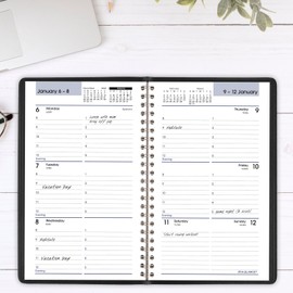 AT-A-GLANCE 2025 Appointment Book Planner, Weekly, 5" x 8", Small, DayMinder, Black (G2000025)