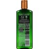 Thicker Fuller Hair Revitalizing Shampoo, 12 Ounce