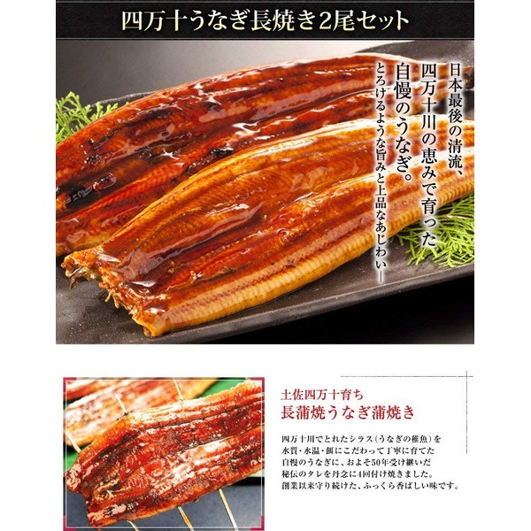 Uoko Shimanto Eel, Made in Japan, Kabayaki, 3.9 oz (110 g) x 2 Tails, Gift