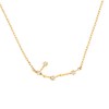 PAVOI 14K Yellow Gold Plated Astrology Constellation Horoscope Zodiac Necklace