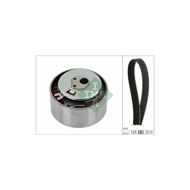 INA 530 0564 10 Timing Belt Set