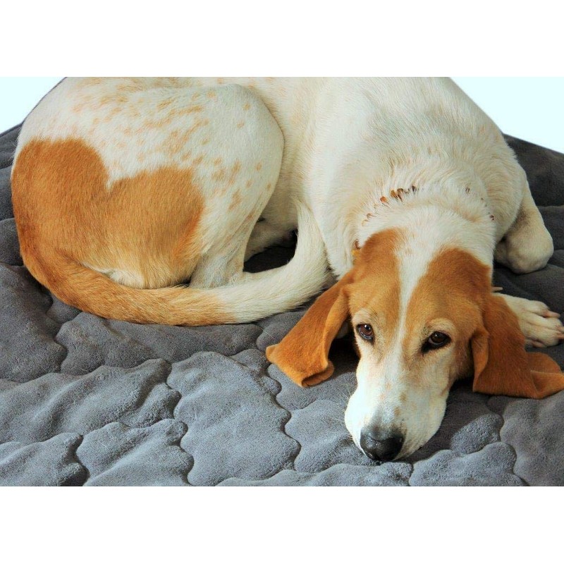 ggm High-Quality Dog Blanket 60 x 70 cm Anthracite for
