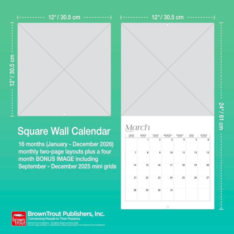 グレート・ピレニーズ 2026年 カレンダー / ブラウントラウト 輸入版 壁掛け 30.5 x 61