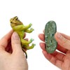3D Illustration Real Figure Box Wildcat Cat Animal