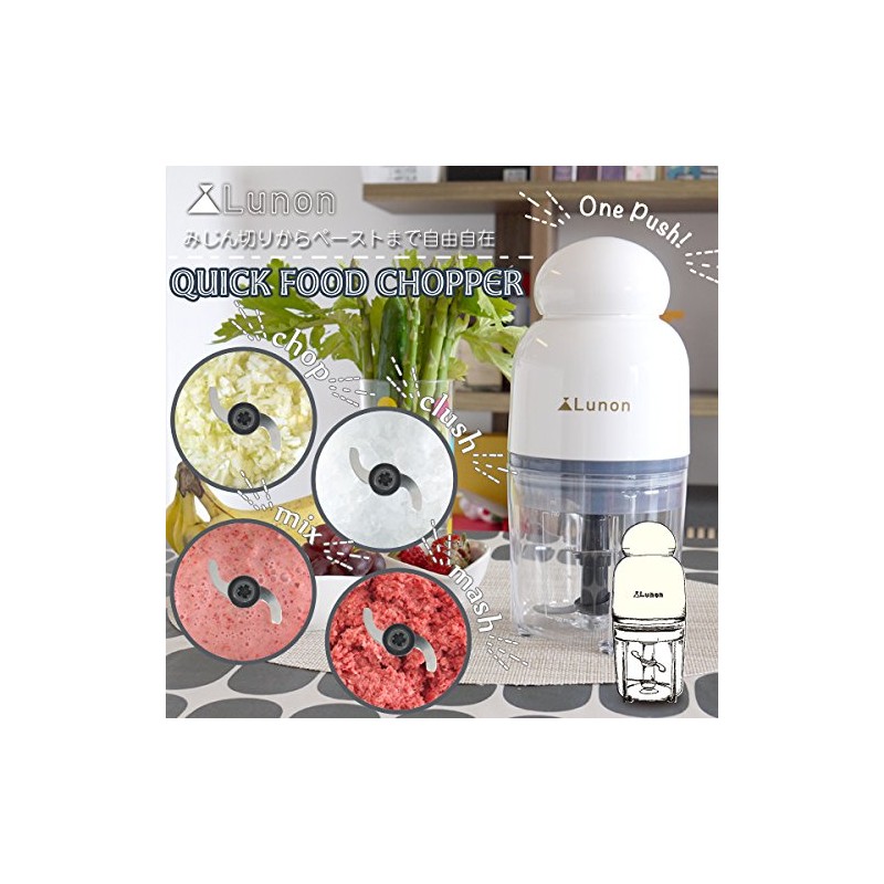 SIS FP116 Chopper, White, 16.9 fl oz (500 ml), Easy