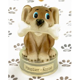 Kremers Schatzkiste Polyresin Money Box for Visiting the Veterinarian or New Dog 17 cm