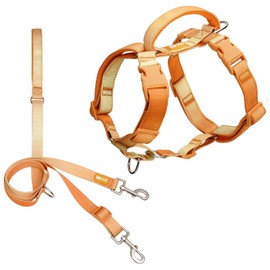 DF Martingale No Pull Dog Harness and Two Point Control Training Leash for Dog Walking Only Works with Martingale Harnesses, Orange, Chest 28"-33"