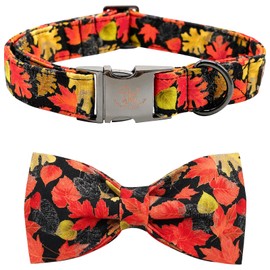 Elegant little tail Dog Collar with Bow - Autumn Dog Collar Maple Leaf Bow Girl Boy Pet Collar Gift Soft Dog Bow Tie Collars for X-Small Puppy