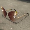 willochra Women Butterfly Cat Eye Sunglasses Fashion Shiny Bling Diamond