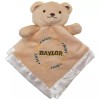 Baylor Bears 14 x 14 inch Security Bear in factory