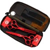 Kit Tijeras Profesionales Estilista Barbero Peluquero Purple Dragon 5.5 pulgadas