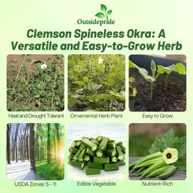 Outsidepride Okra Seeds for Planting – 1000 Pcs Annual, High-Yield, Easy-to-Grow, & Nutritious Edible Vegetable Seeds for Home Gardens, Containers & Culinary, Thrives in Warm Climates (AAS Winner)