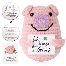 BETESSIN Lucky Pig Pocket Hug Pig Lucky Charm Exam Get Well Positive Gifts with Coin Lucky Pig Small Hug Advent Calendar Filling Christmas New Year's Eve Gifts