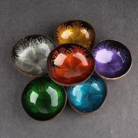 Island Essence™ Coconut Bowl Stylish Tableware - Color: Assorted, Set Size: 6 pc set