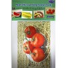 Fruits & Vegetables Posters Real Photo Classroom Decorations for Preschool
