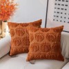 RABUSOFA Fall Pillow Covers16x16 Set of 2 Fall Decorations Autumn
