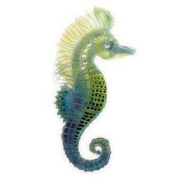 PAPYRUS Everyday Card, 1 EA