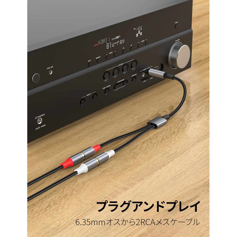 KAYQINHO 6.35mm to 2RCA Cable, 6.35mm 1/4" to 2 RCA