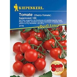 Cherry tomato Supersweet 100, F1, very early yielding cherry tomato with many bearing long panicles