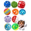 DIYUQISHI 10-Pack Hamster Play Balls, PP Plastic Toys, 1.5–2.2 Inch
