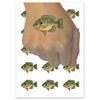 Bluegill Freshwater Fish Bream Copper Nose Temporary Tattoo Water Resistant