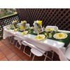 MaitianGuyou Lemon Birthday Party Supplies Tableware Set,Disposable Dinnerware Decoration Supplies